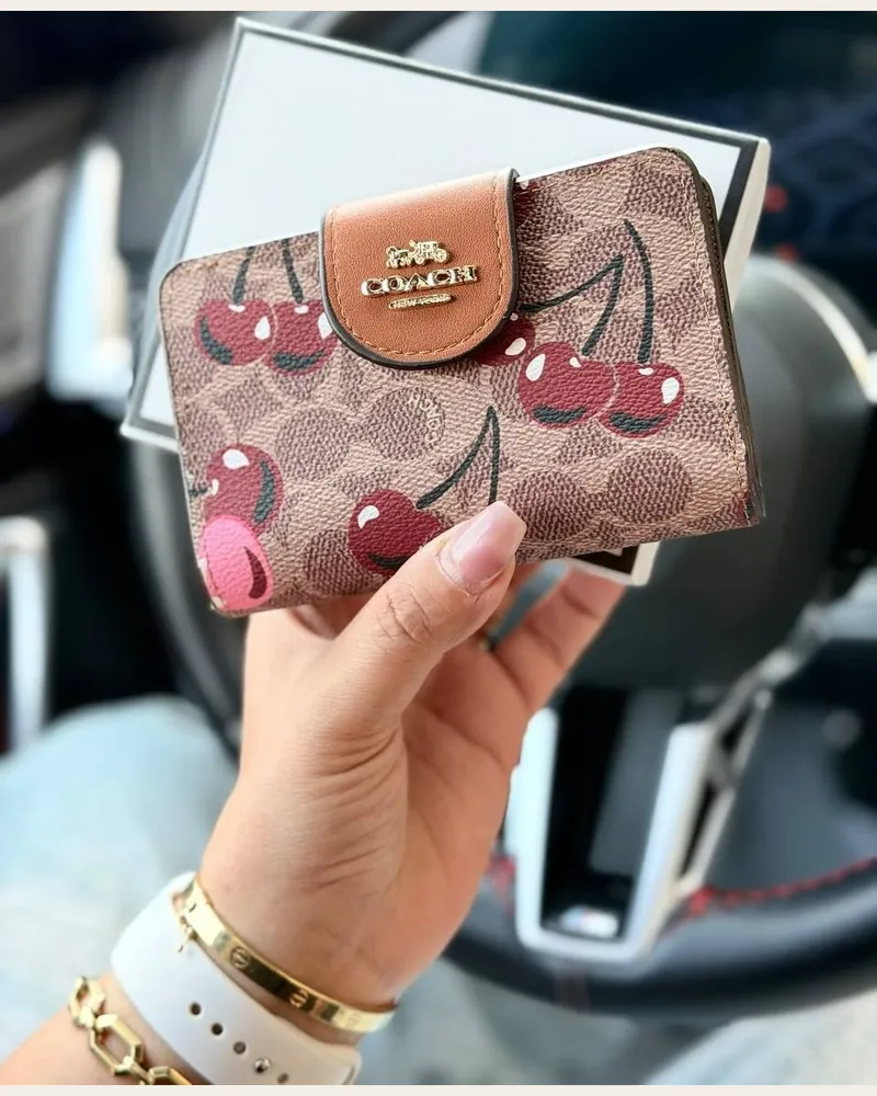 محفظة صغيرة مطبوعة بقفل كبسول 3